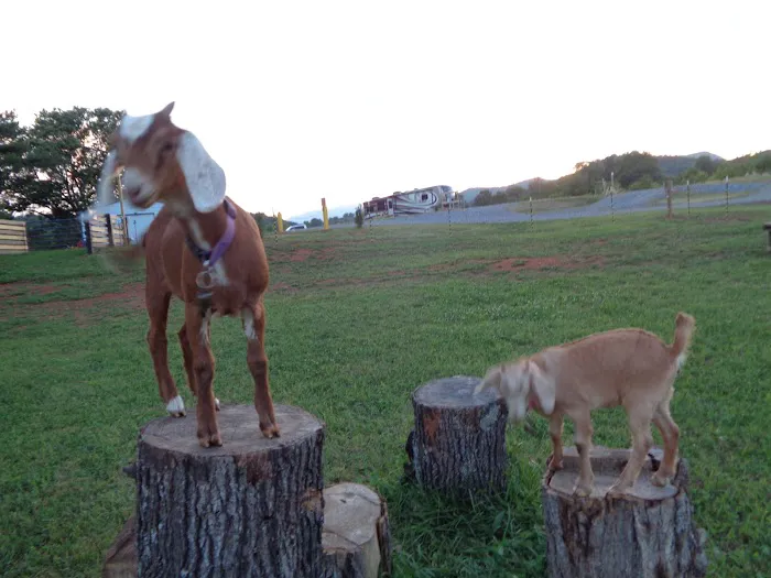 GEM CITY RV RESORT Picture 5