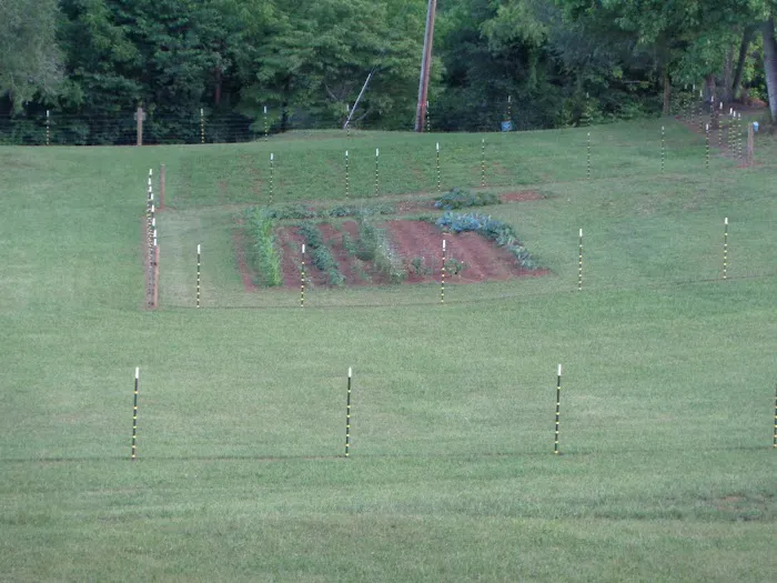 GEM CITY RV RESORT Picture 7