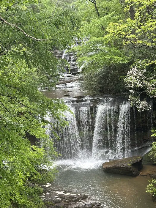 Bolt Creek RV Park Picture 2