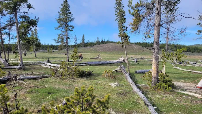 Sentinel Meadows East Picture 1