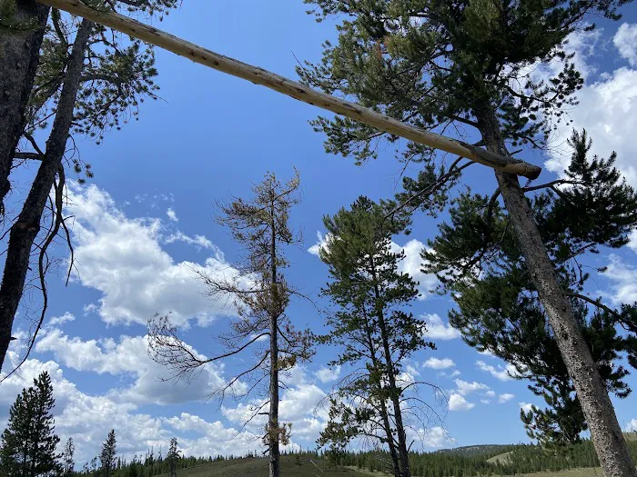 Sentinel Meadows East Picture 3