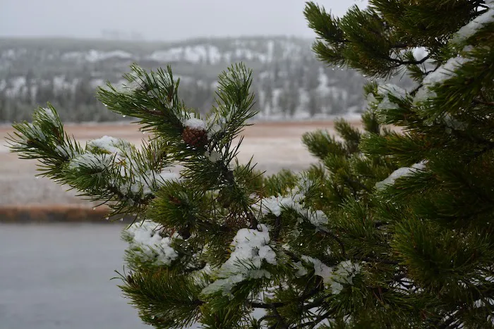 Madison Campground Picture 8