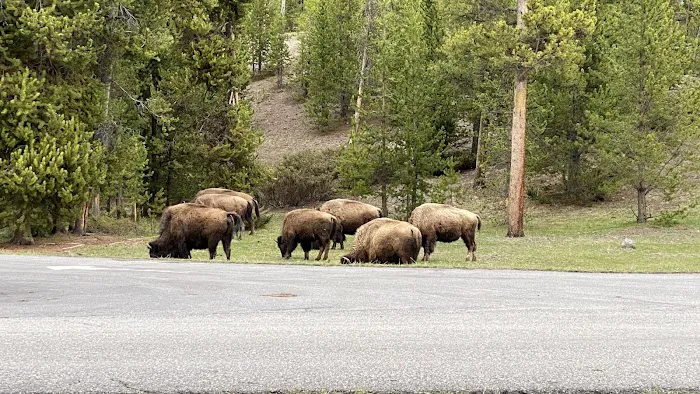 Madison Campground Picture 7