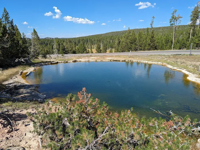 Madison Campground Picture 5