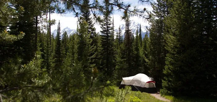 Colter Bay Campground Picture 5