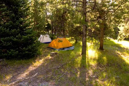 Colter Bay Campground Picture 7