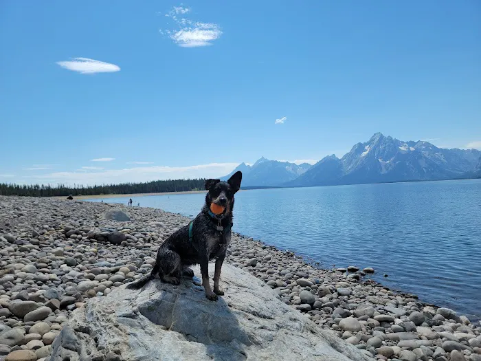 Colter Bay Campground Picture 8