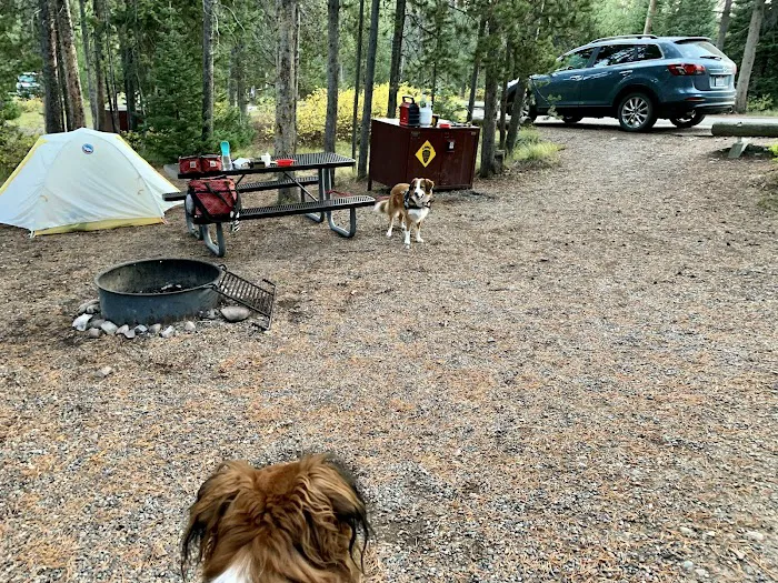 Colter Bay Campground Picture 9