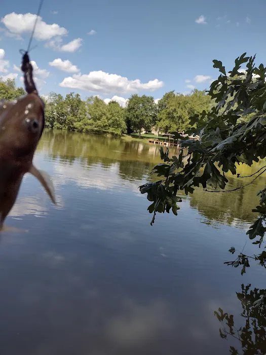 Southlake RV Park Knoxville Picture 8