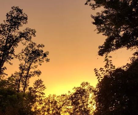 Black Oak Mobile Home-RV Park