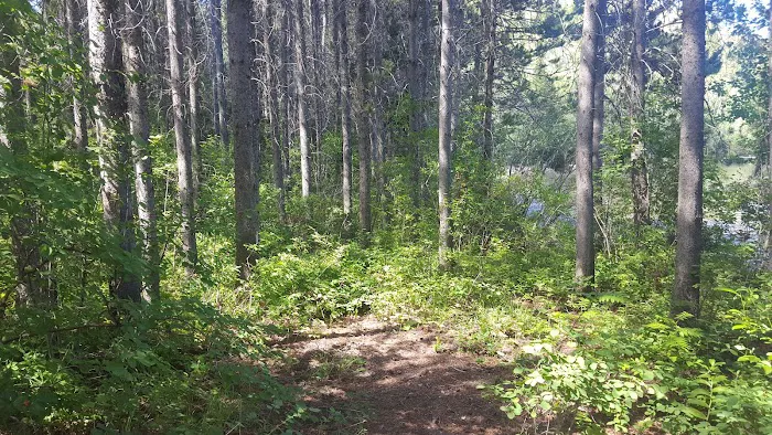 Calamity Campground Picture 8