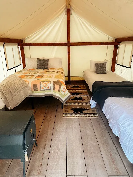 Glamping on the Greys Picture 2