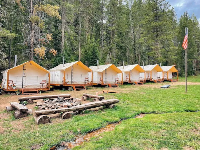 Glamping on the Greys Picture 4
