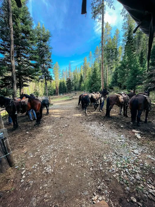 Glamping on the Greys Picture 5