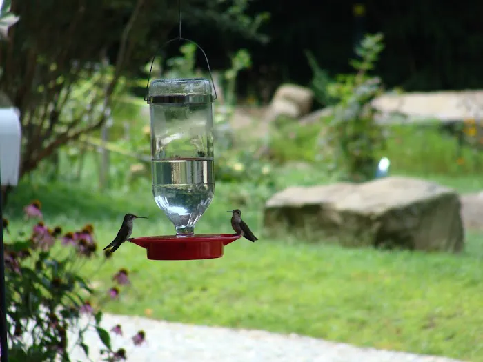 Teaberry Hill RV Campground Picture 9