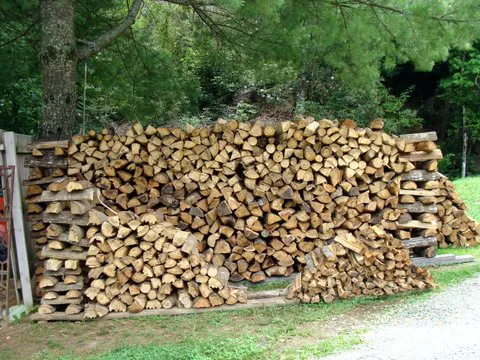 Teaberry Hill RV Campground Picture 10