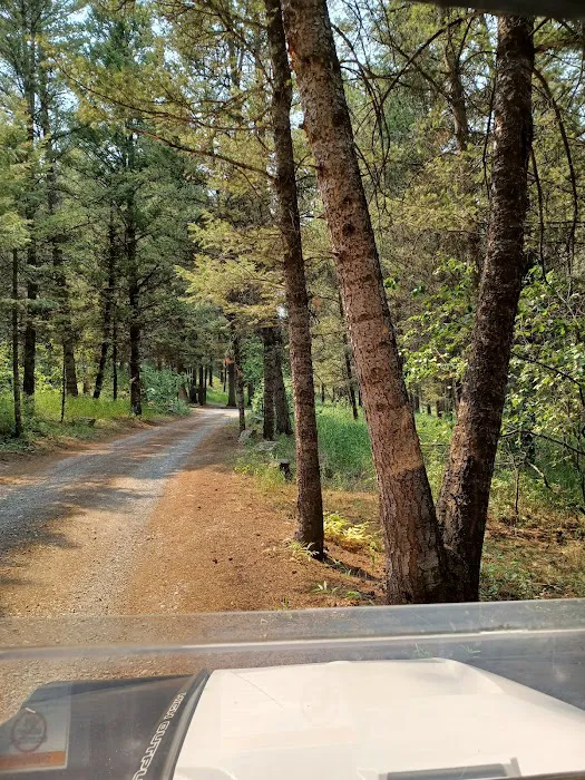 Curtis Canyon Campground Picture 5