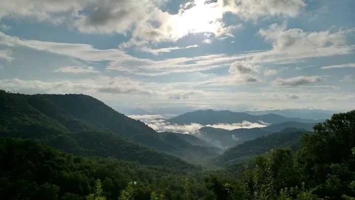 Pines RV Park, and Cabins Picture 4