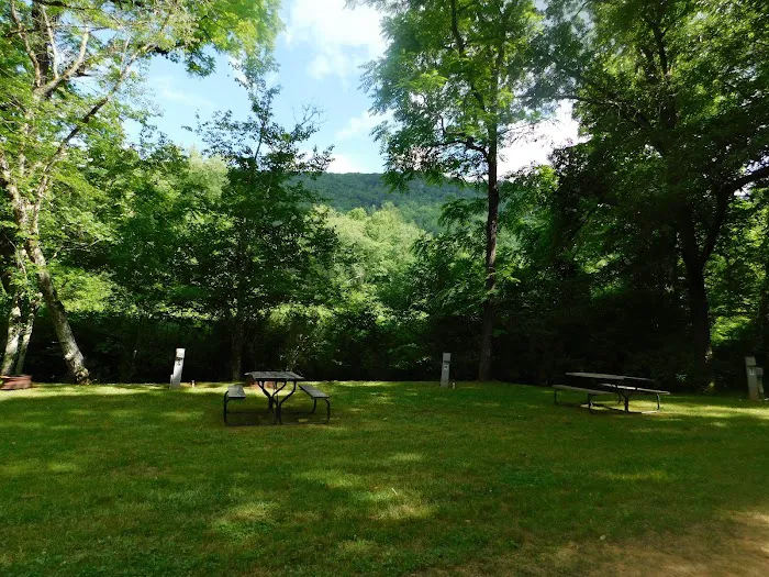 Pines RV Park, and Cabins Picture 8