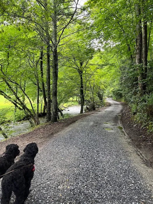 Hidden Waters RV Park, Campground & Outdoors Picture 9