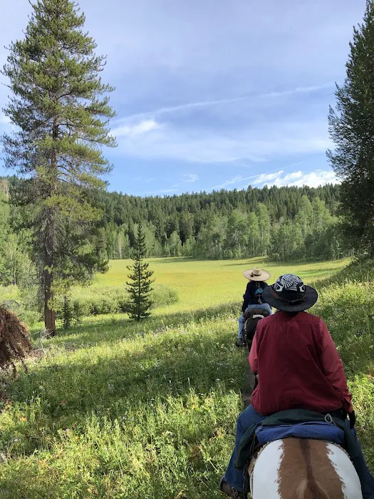 Turpin Meadow Campground Picture 7