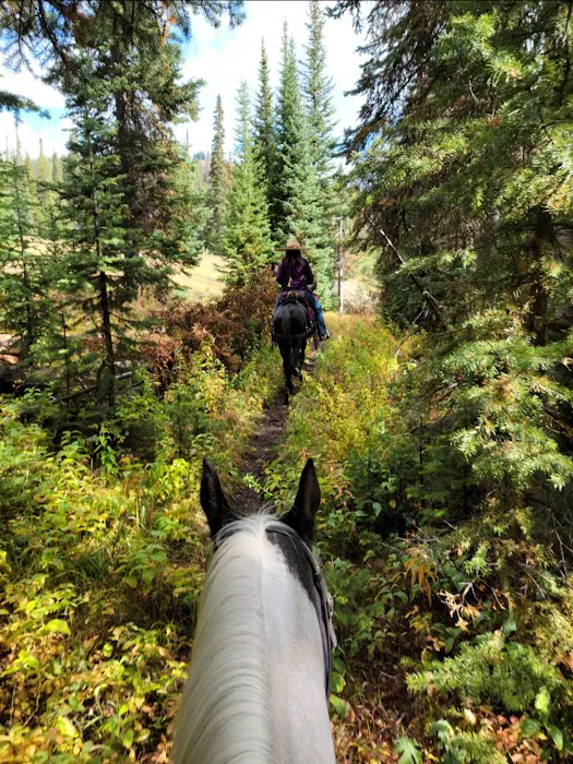 Turpin Meadow Campground Picture 5