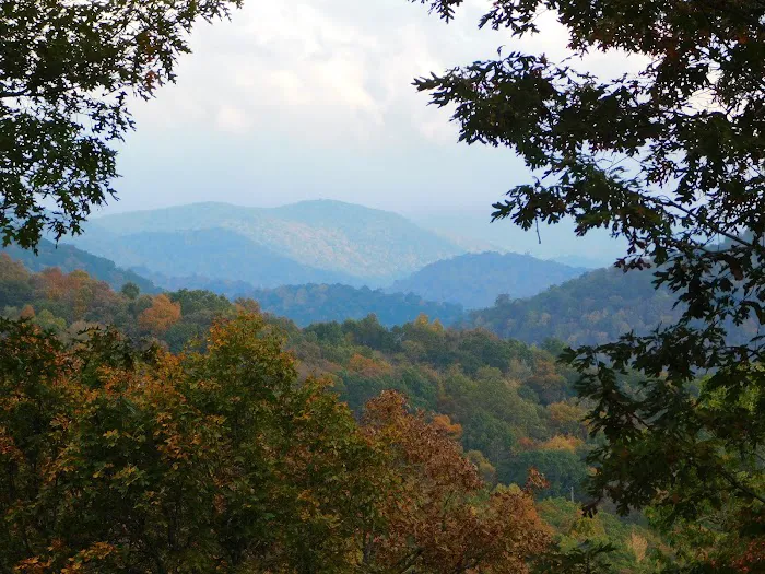 Deer Springs RV Park Picture 6