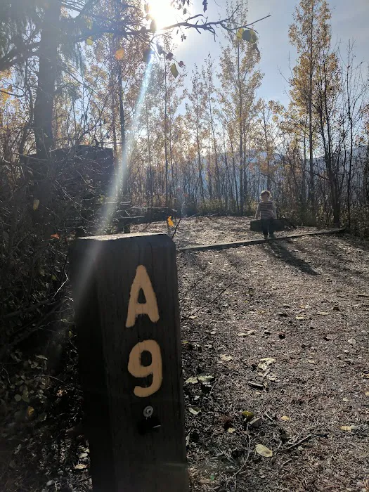 Blowout Campground Picture 10