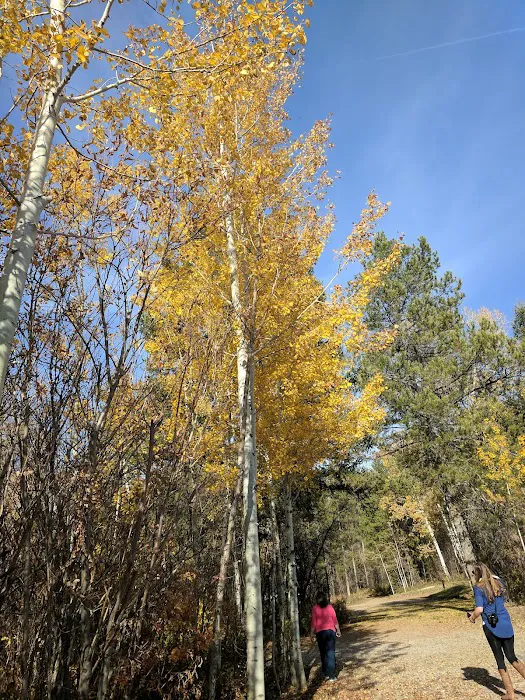 Blowout Campground Picture 8