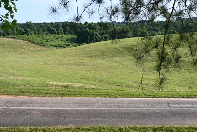 Creek and View Picture 2