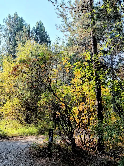 Alpine North Loop Campground Picture 2