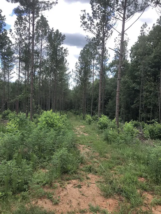 Pine Hill Campground and RV Park Picture 2