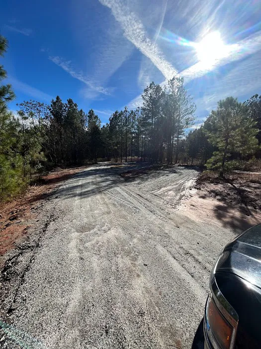 Fairplay Rv park Picture 2