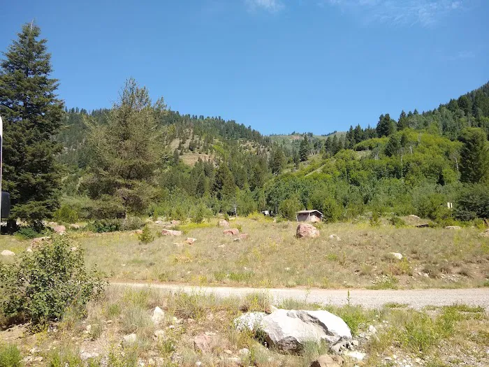 Wolf Creek Campground Picture 6