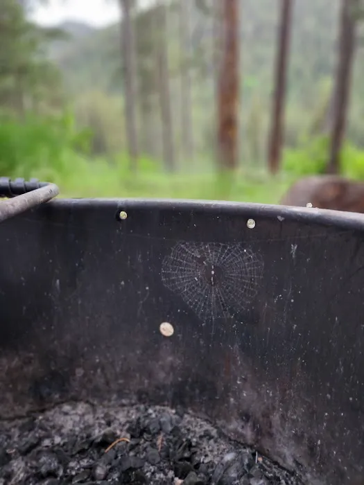 Station Creek Campground Picture 1