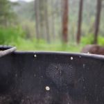 Station Creek Campground