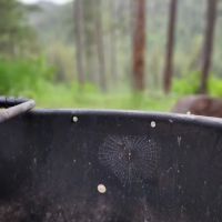 Station Creek Campground ico