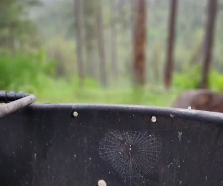 Station Creek Campground