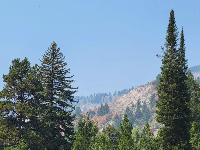 Station Creek Campground Picture 4