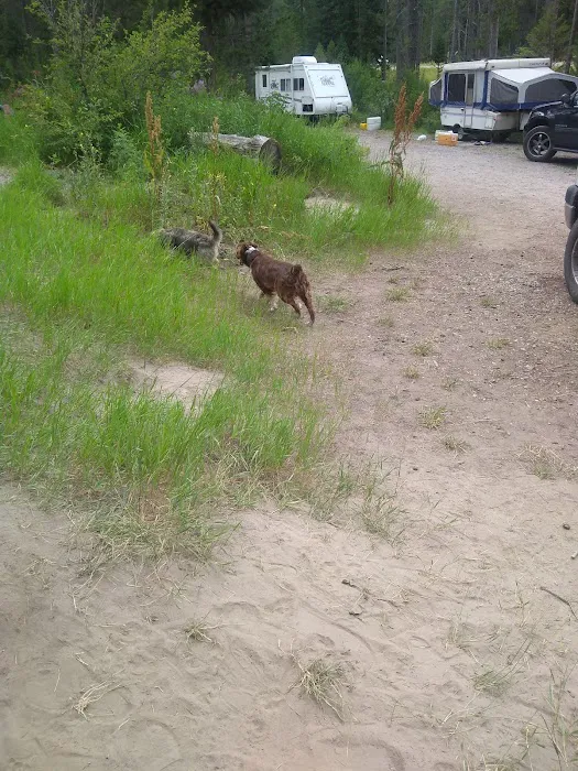 Station Creek Campground Picture 10