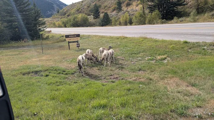 Hoback Campground Picture 4