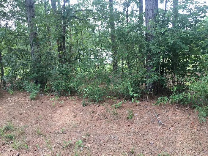 The New RV Park Picture 2