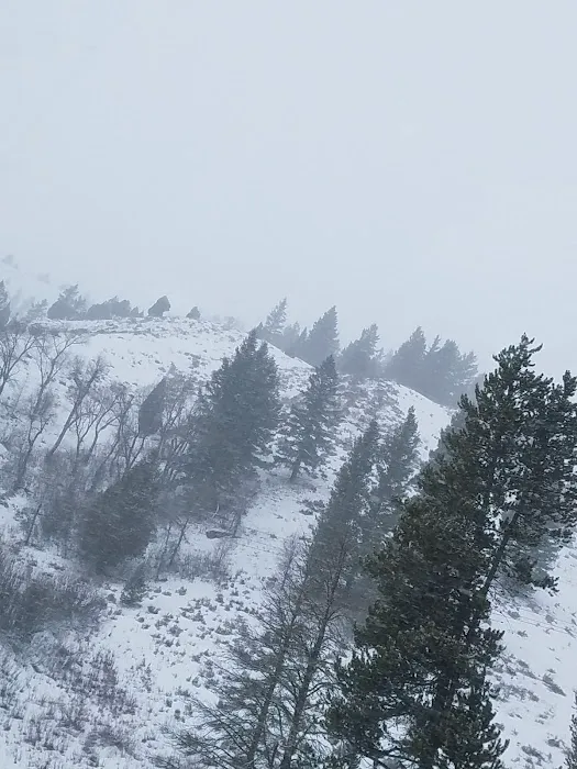 East Table Campground Picture 9