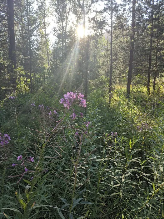 East Table Campground Picture 7