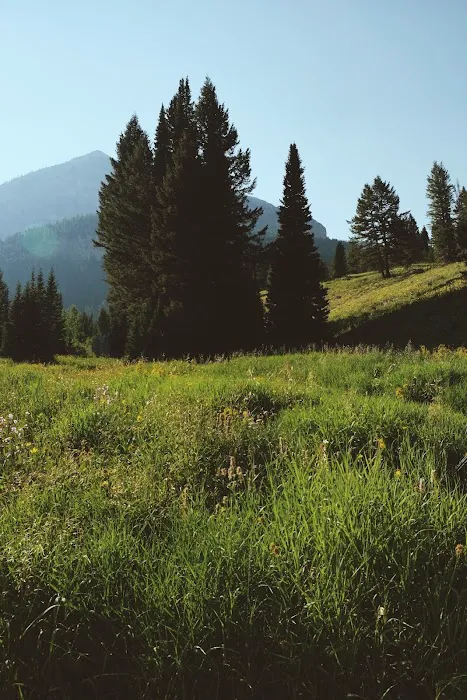 Granite Creek Campground Picture 10