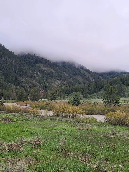 Kozy Campground Picture 5