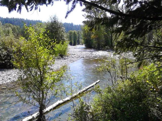 Kozy Campground Picture 6