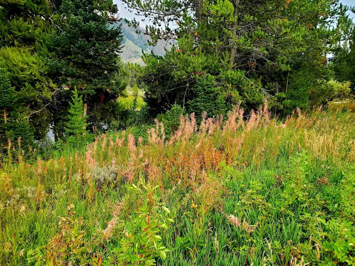 Kozy Campground Picture 8