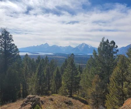 Two Ocean Trail Junction