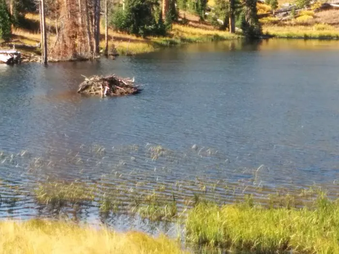 Monument Camp Picture 4